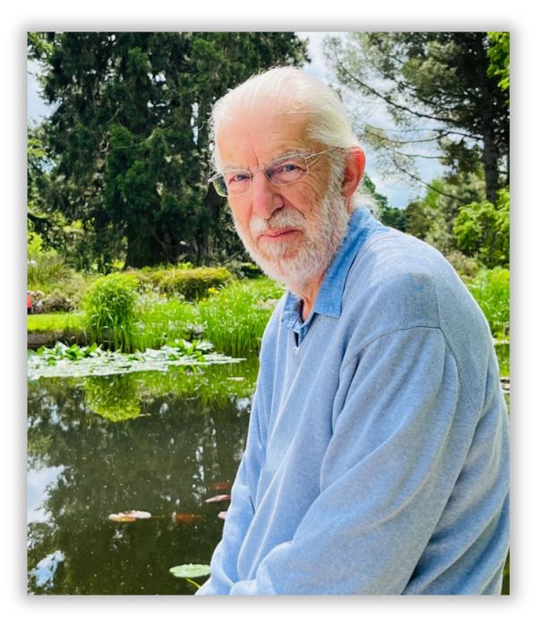 Peter Newton Profile 2 web